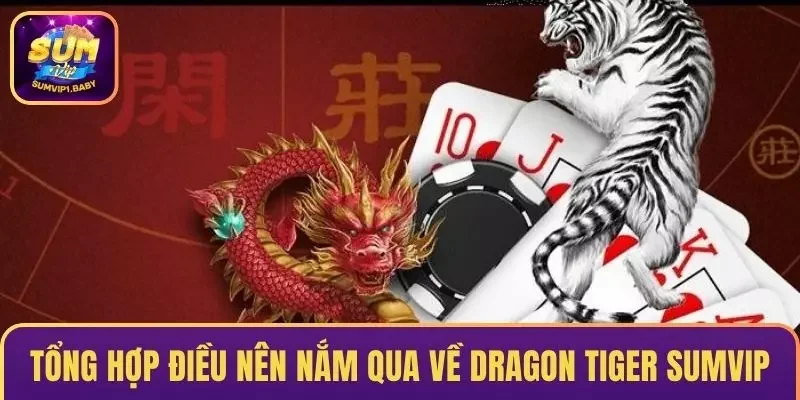 Tổng hợp điều nên nắm qua về Dragon Tiger SUMVIP